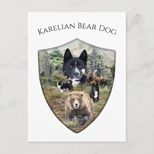 Carte Postale Chien d'ours karélien (Devant)