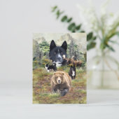 Carte Postale Chien d'ours karélien (Debout devant)