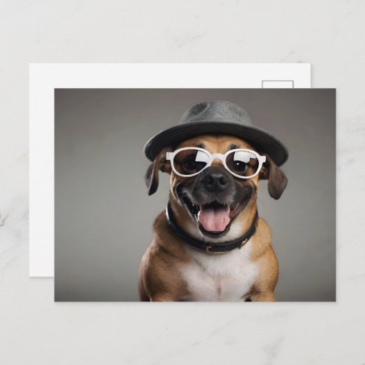 Carte Postale Chien drôle avec lunettes et casquette (Devant / Derrière)
