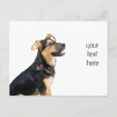 Carte Postale Chien drôle chiot (Devant)