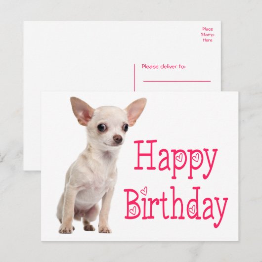 Carte Postale Chien Drôle Chiot Mignon Anniversaire Chihuahua (Devant / Derrière)