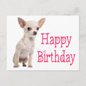 Carte Postale Chien Drôle Chiot Mignon Anniversaire Chihuahua (Devant)