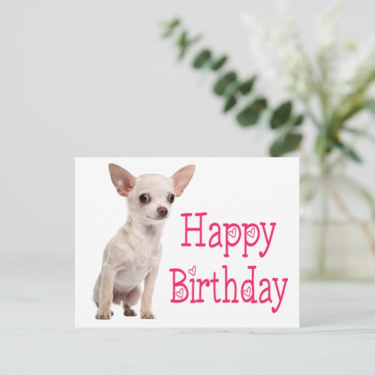 Carte Postale Chien Drôle de Chihuahua de Naissance Mignon Chiot (Debout devant)