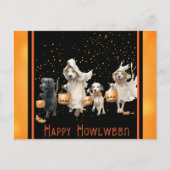 Carte Postale Chien drôle mignon Joyeux Halloween Howlween (Devant)
