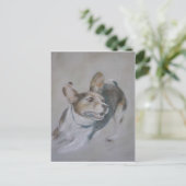 Carte Postale Chien écarlate :  Exécution (Debout devant)