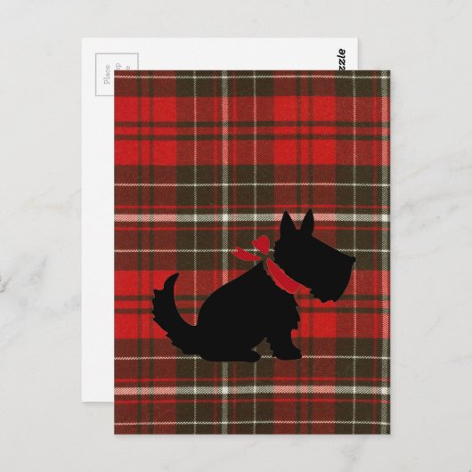 Carte Postale Chien écossais mignon et taran rouge (Devant / Derrière)