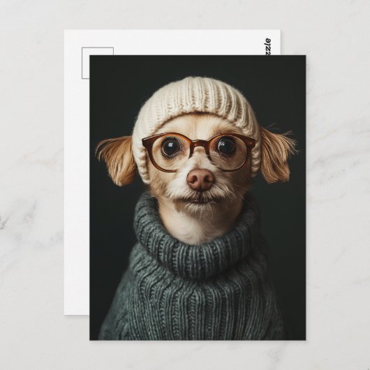 Carte Postale Chien élégant en tenue confortable (Devant / Derrière)