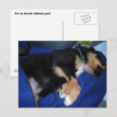 Carte Postale Chien endormi (Devant / Derrière)