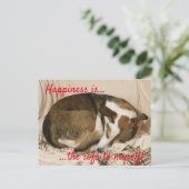 Carte Postale Chien endormi (Debout devant)