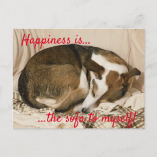 Carte Postale Chien endormi