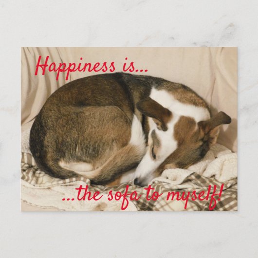 Carte Postale Chien endormi (Devant)