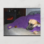 Carte Postale Chien endormi près de la cheminée (Devant)