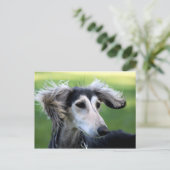Carte Postale chien éolien (Debout devant)