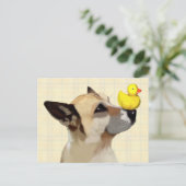 Carte Postale Chien et canard (Debout devant)