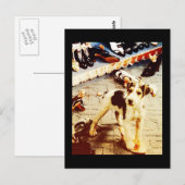 Carte Postale Chien et chaussures (Devant / Derrière)