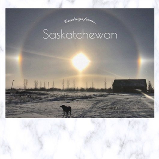 Carte Postale Chien et chien solaire dans Archydal Saskatchewan