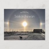 Carte Postale Chien et chien solaire dans Archydal Saskatchewan (Devant)