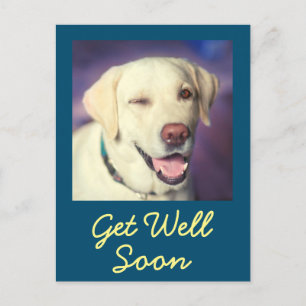 Carte Postale Chien et encouragement amusant se porter bien