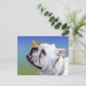 Carte Postale Chien et papillon (Debout devant)