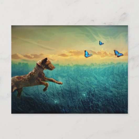 Carte Postale Chien Et Papillon (Devant)