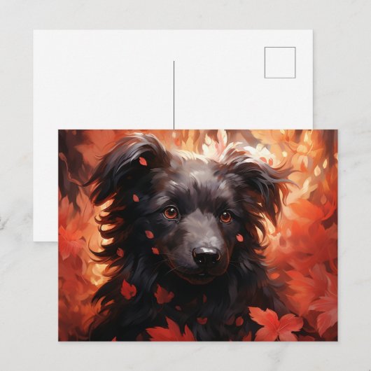 Carte Postale Chien Flamboyant (Devant / Derrière)