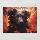 Carte Postale Chien Flamboyant (Devant)