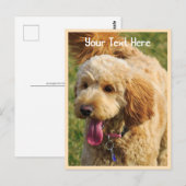 Carte Postale Chien Goldendoodle personnalisé (Devant / Derrière)