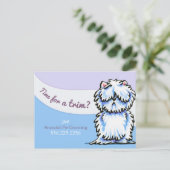 Carte Postale Chien Groomer Shabby Westie Publicité Mailer (Debout devant)