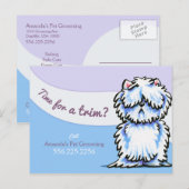 Carte Postale Chien Groomer Shabby Westie Publicité Mailer (Devant / Derrière)