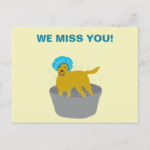 Carte Postale Chien Grooming Entreprise Chien Groomers Promotion