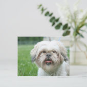 Carte Postale Chien grossier (Debout devant)