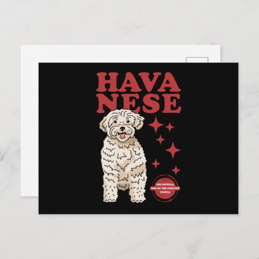 Carte Postale Chien Havanais Du Plus Coolé | Havaneses (Devant / Derrière)