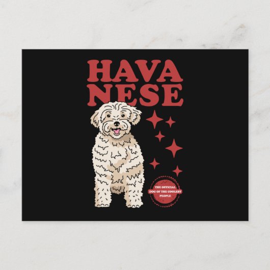 Carte Postale Chien Havanais Du Plus Coolé | Havaneses (Devant)