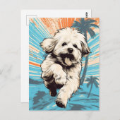 Carte Postale Chien Havanais sur une plage tropicale au coucher (Devant / Derrière)