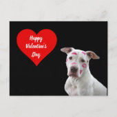 Carte postale Chien Heureuse Sainte-Valentin (Devant)