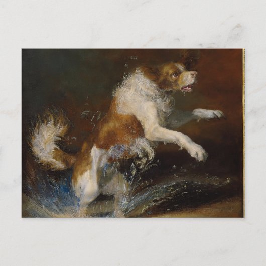 Carte Postale Chien humide IA (Devant)
