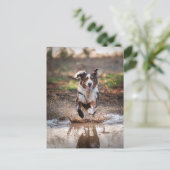 Carte Postale Chien IA (Debout devant)