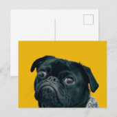 Carte Postale chien jaune (Devant / Derrière)