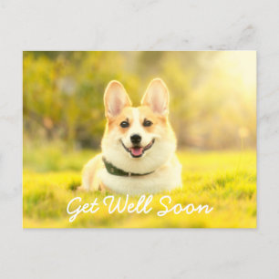 Carte Postale Chien Jaune et Encouragement Bon Rétablissement