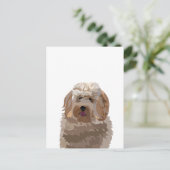 Carte Postale Chien Labradoodle Mignon (Debout devant)