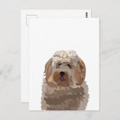 Carte Postale Chien Labradoodle Mignon (Devant / Derrière)
