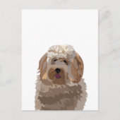 Carte Postale Chien Labradoodle Mignon (Devant)