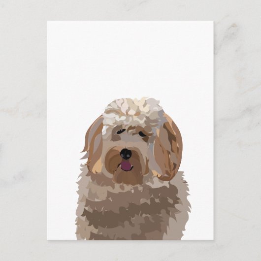 Carte Postale Chien Labradoodle Mignon (Devant)
