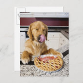 Carte Postale Chien lécher le nez après avoir mangé la tarte cer (Devant / Derrière)