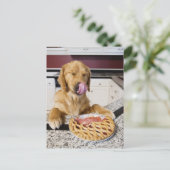 Carte Postale Chien lécher le nez après avoir mangé la tarte cer (Debout devant)
