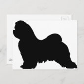 Carte Postale Chien maltais (Devant / Derrière)