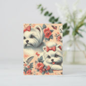 Carte Postale Chien maltais vintage (Debout devant)