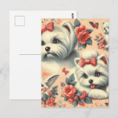 Carte Postale Chien maltais vintage (Devant / Derrière)