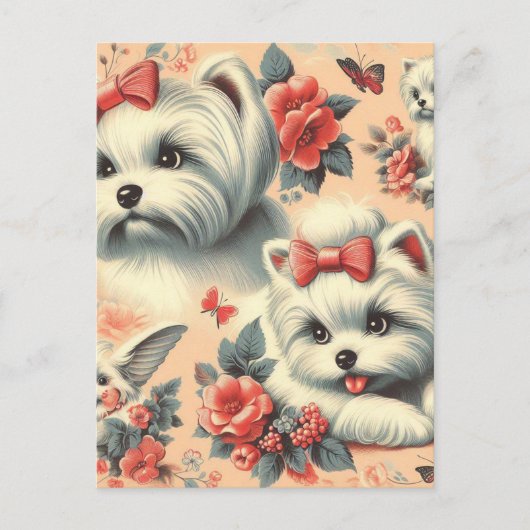 Carte Postale Chien maltais vintage (Devant)