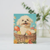 Carte Postale Chien maltais Vintage Pâques (Debout devant)